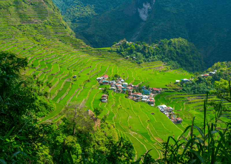 Thailand vs Philippines: Which Paradise Wins in 2026? 14 Batad in Banaue Rice Terraces Philippines - Thailand vs Philippines