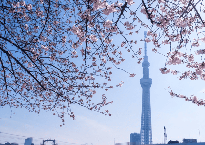 How to Spend 2 Days in Tokyo - A Perfect 2 Days Tokyo Itinerary 1 2 Days Tokyo Itinerary, 36 Hours in Tokyo: Everything To Do and What Not to Miss