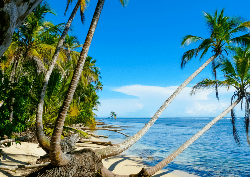 5 Day Costa Rica Caribbean Guide: Cahuita and Punta Uva Itinerary 5 beaches within Cahuita National Park are safe and beautiful - Cahuita and Punta Uva Itinerary