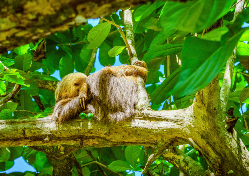 8 Reasons For Americans to Move to Costa Rica