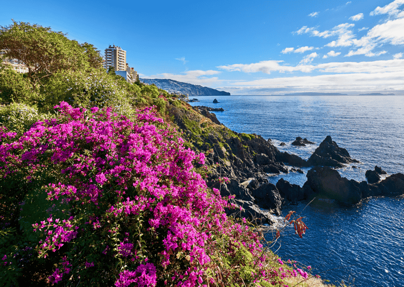 Why Is Portugal the Most Popular Tourist Destination For Americans? Key Attractions and Unique Experiences 8 What Made Portugal the Most Popular Tourist Destination: Key Attractions and Unique Experiences, How to Plan A Trip to Europe For First-Timers, Best Places to Visit in Europe in Spring - Where to Go in Europe This Spring