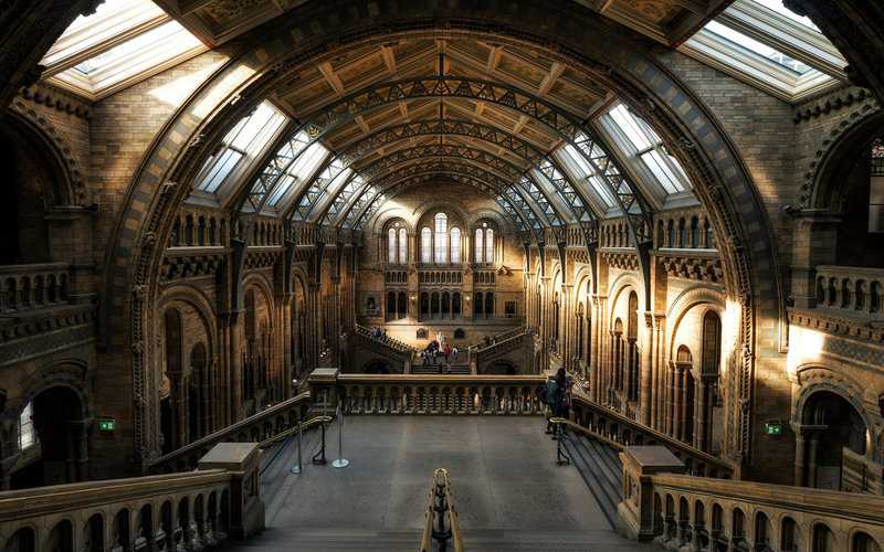 6 Rookie Mistakes Tourists Make in London (And How to Dodge Them Like a Local) 1 National History Museum of London Mistakes Tourists Make When Visiting London scaled