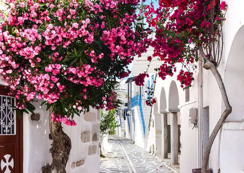Skip Santorini: 5 Greek Islands You’ll Fall in Love With Instead 2 5 Amazing Greek Islands to Visit That Aren't Santorini or Mykonos, 8 Reasons Why Not to Visit Greece And 7 Reasons To Visit, 20 Common Mistakes To Avoid In Greek Islands