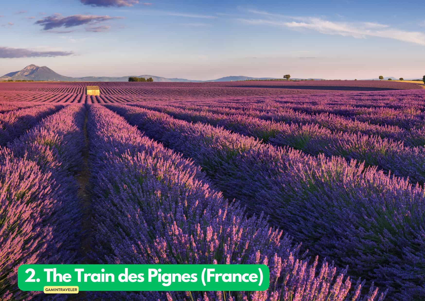 9 Best Summer Train Journeys in Europe To Do in 2024 3 2. The Train des Pignes France Summer Train Journeys in Europe