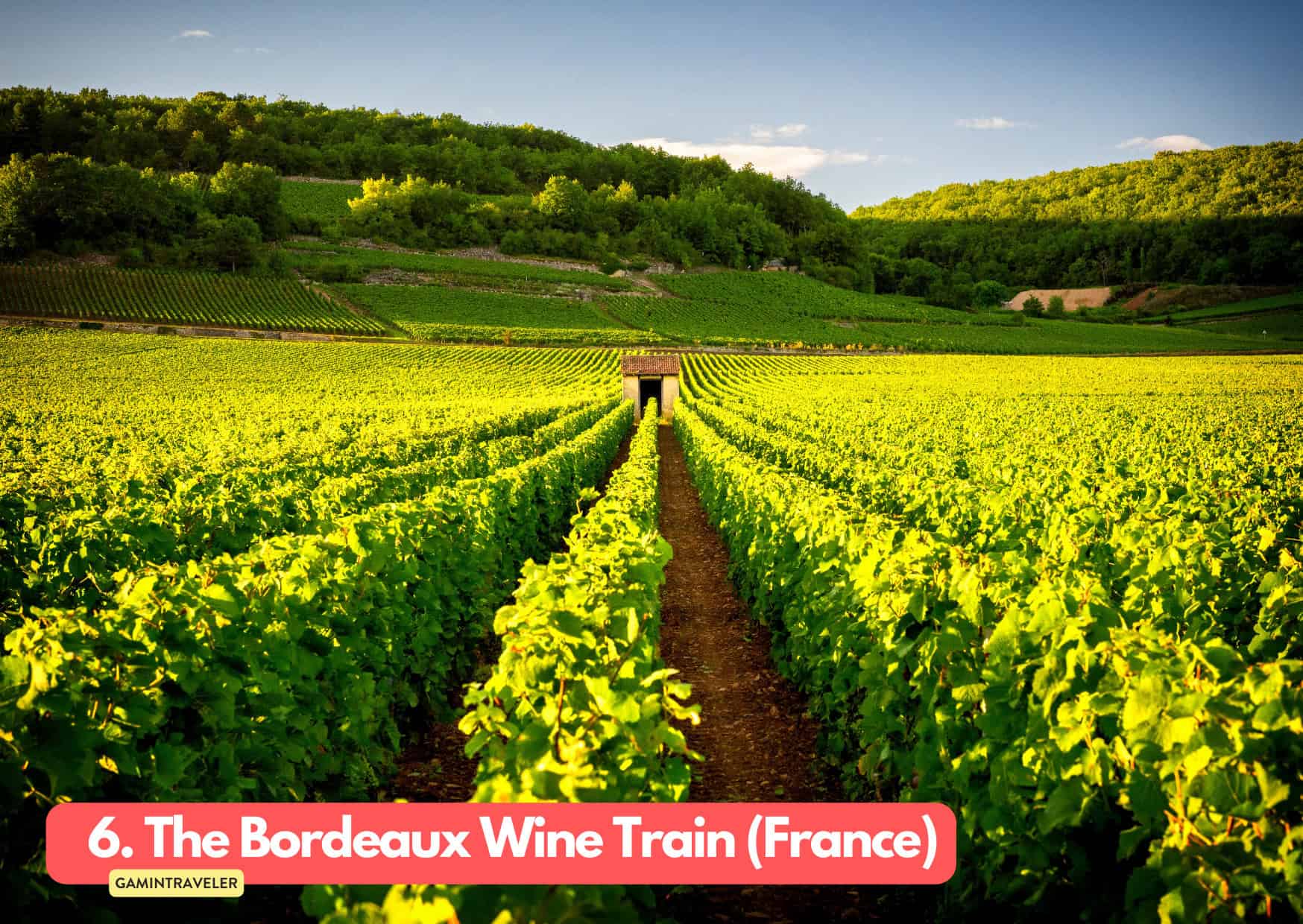 9 Best Summer Train Journeys in Europe To Do in 2024 7 6. The Bordeaux Wine Train France Summer Train Journeys in Europe