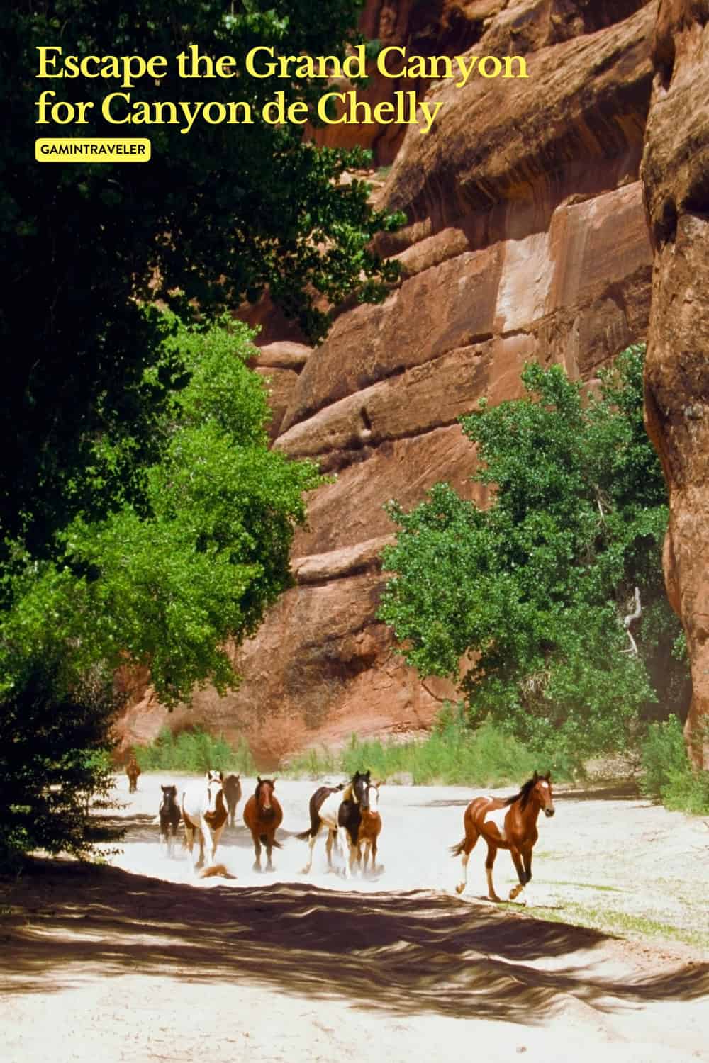 Escape Grand Canyon Crowds for The Canyon de Chelly 1 Escape Grand Canyon Crowds for The Canyon de Chelly