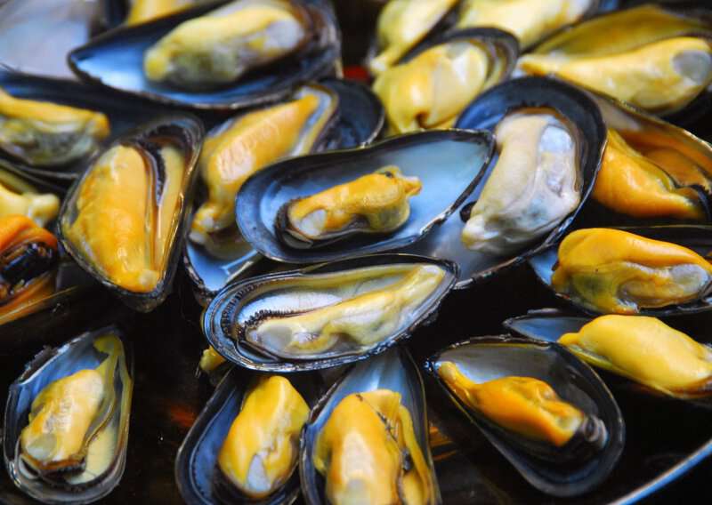 The Mussels Recipe That Makes Restaurant Seafood Feel Overpriced: How to Make Moules That Taste Like a French Bistro 2 How to Make Moules - Authentic Moules (Recipe Guide) Tips and Calories