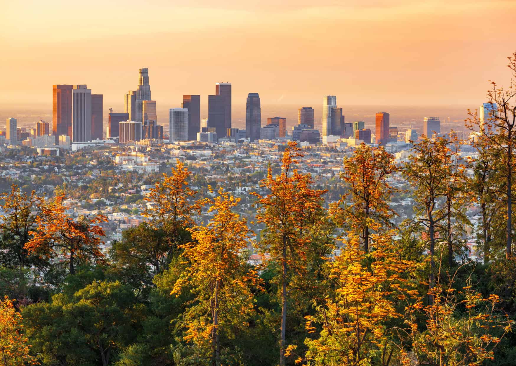 Headed to Los Angeles? Avoid These 10 Common Mistakes Tourists Make in LA 3 Avoid These 10 Common Mistakes Tourists Make in LA