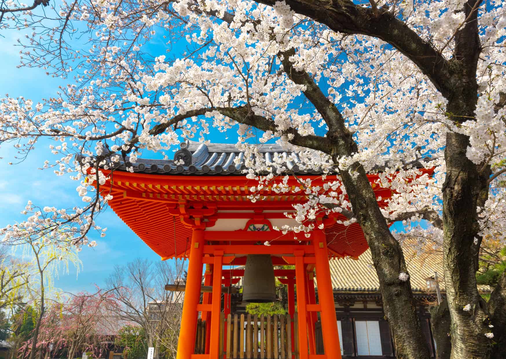15 Best Things to Know Before Visiting Tokyo For First Timers 7 20 Top Countries in the World to Meet and Date New People: Ultimate Guide