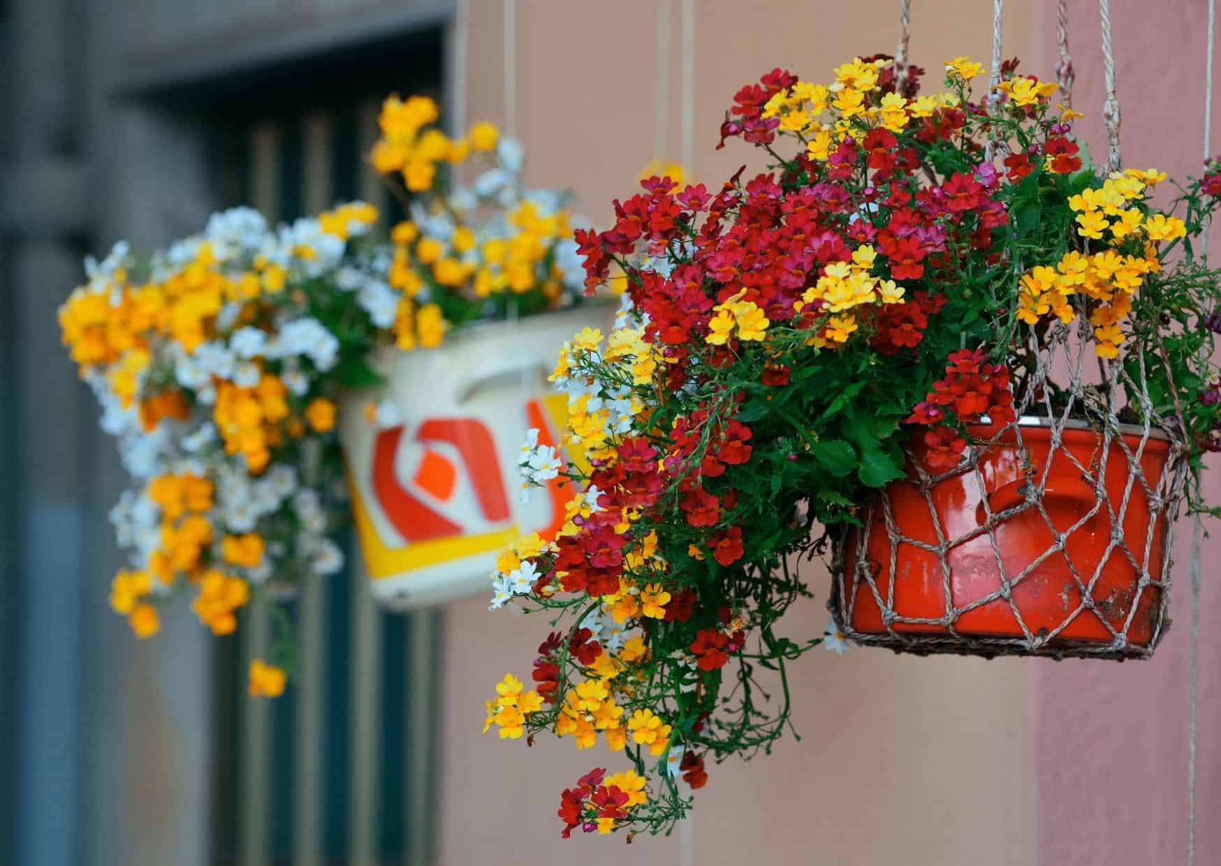 Discover the Essence of Cinque Terre: A Journey Through History 4 Corniglia,