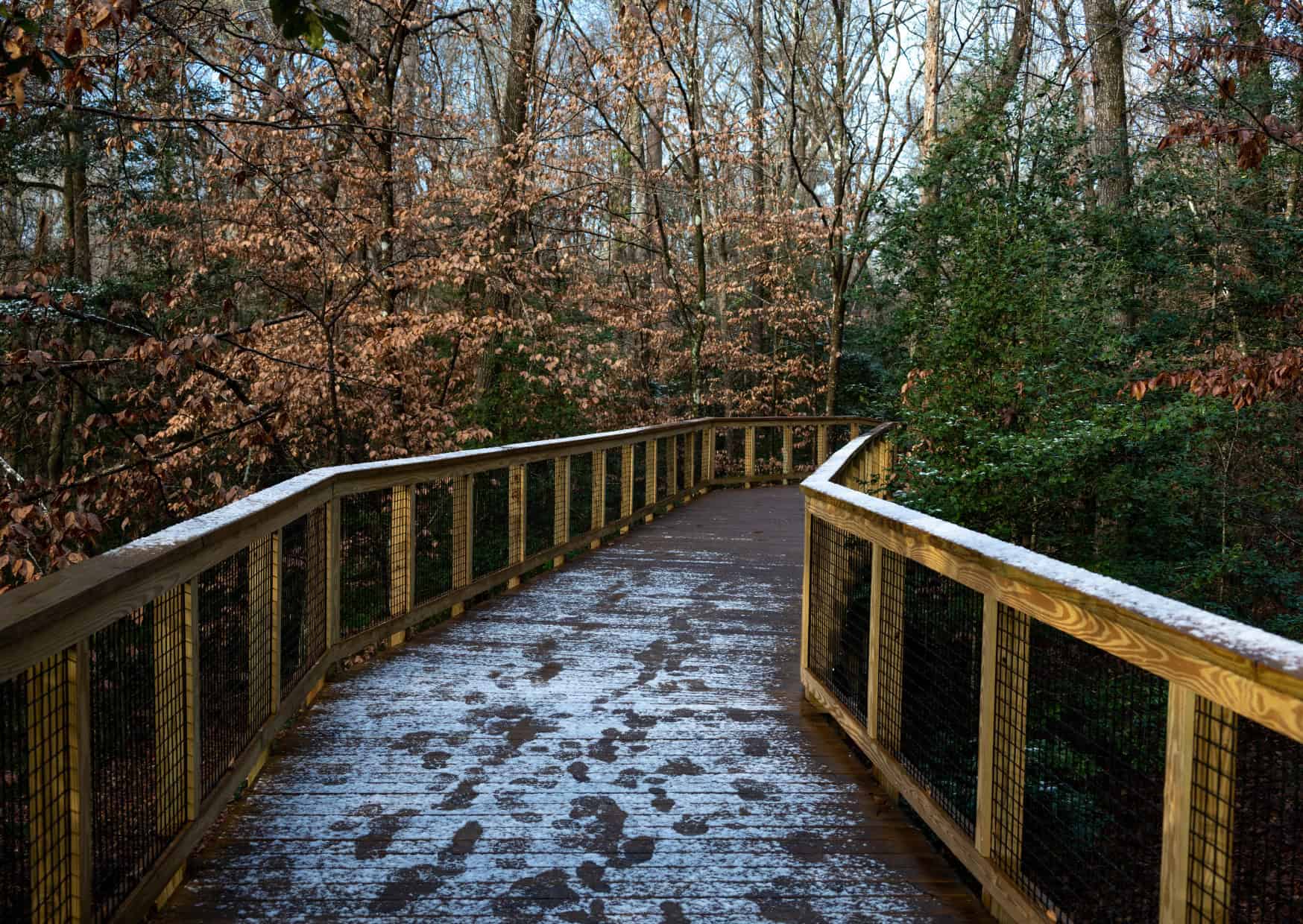 Here are 10 US Hidden National Parks to Visit This Summer and Avoid Crowds 2 Congaree National Park South Carolina Top 10 US Hidden National Parks to Visit This Summer
