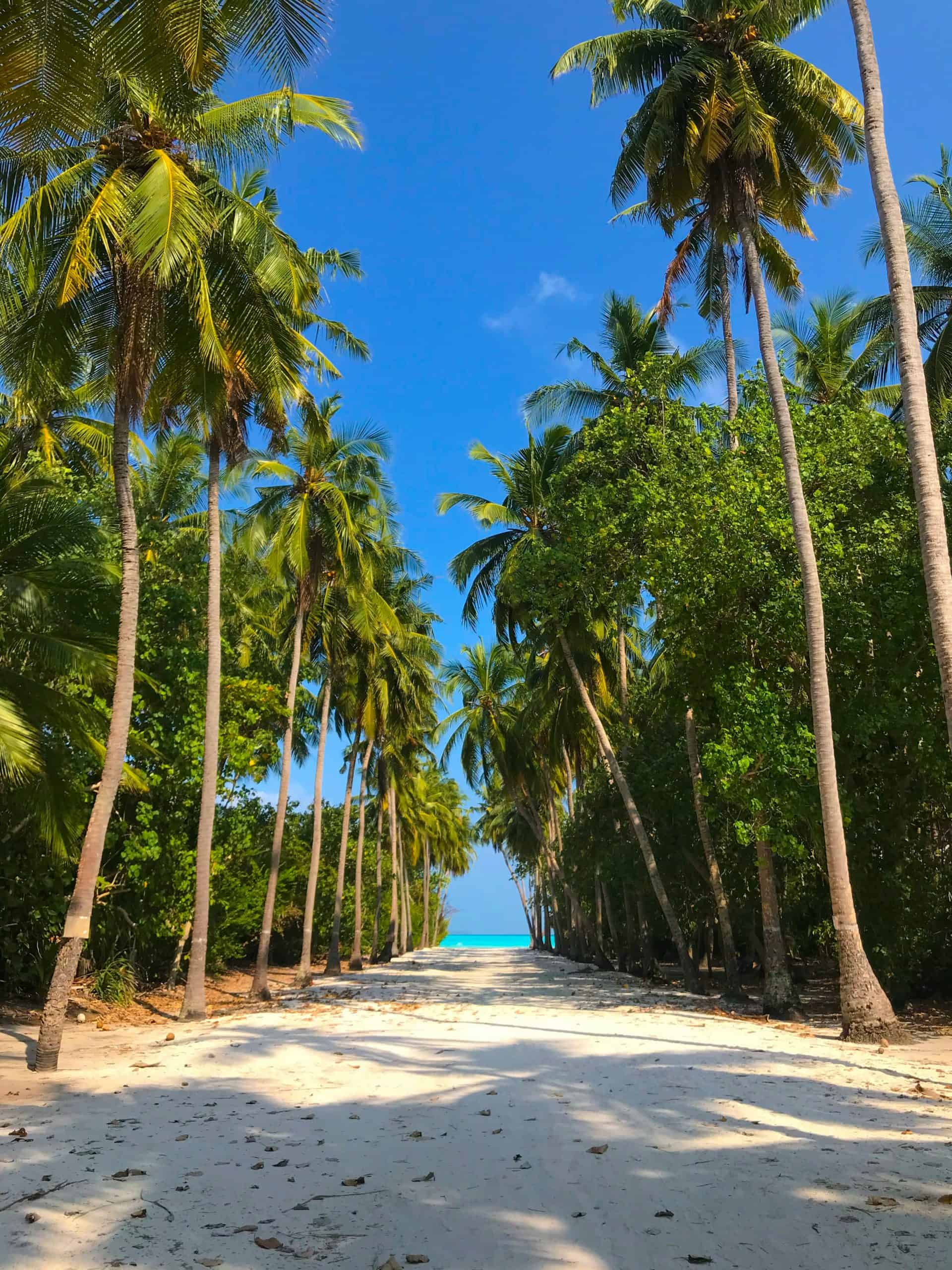 19 Best Local Maldives Beaches to Visit That Rivals Luxury Resort Beaches 2 The very beautiful and famous walkway that leads to the thundi in Baa Fulhadhoo, Maldives - Best Local Maldives Beaches