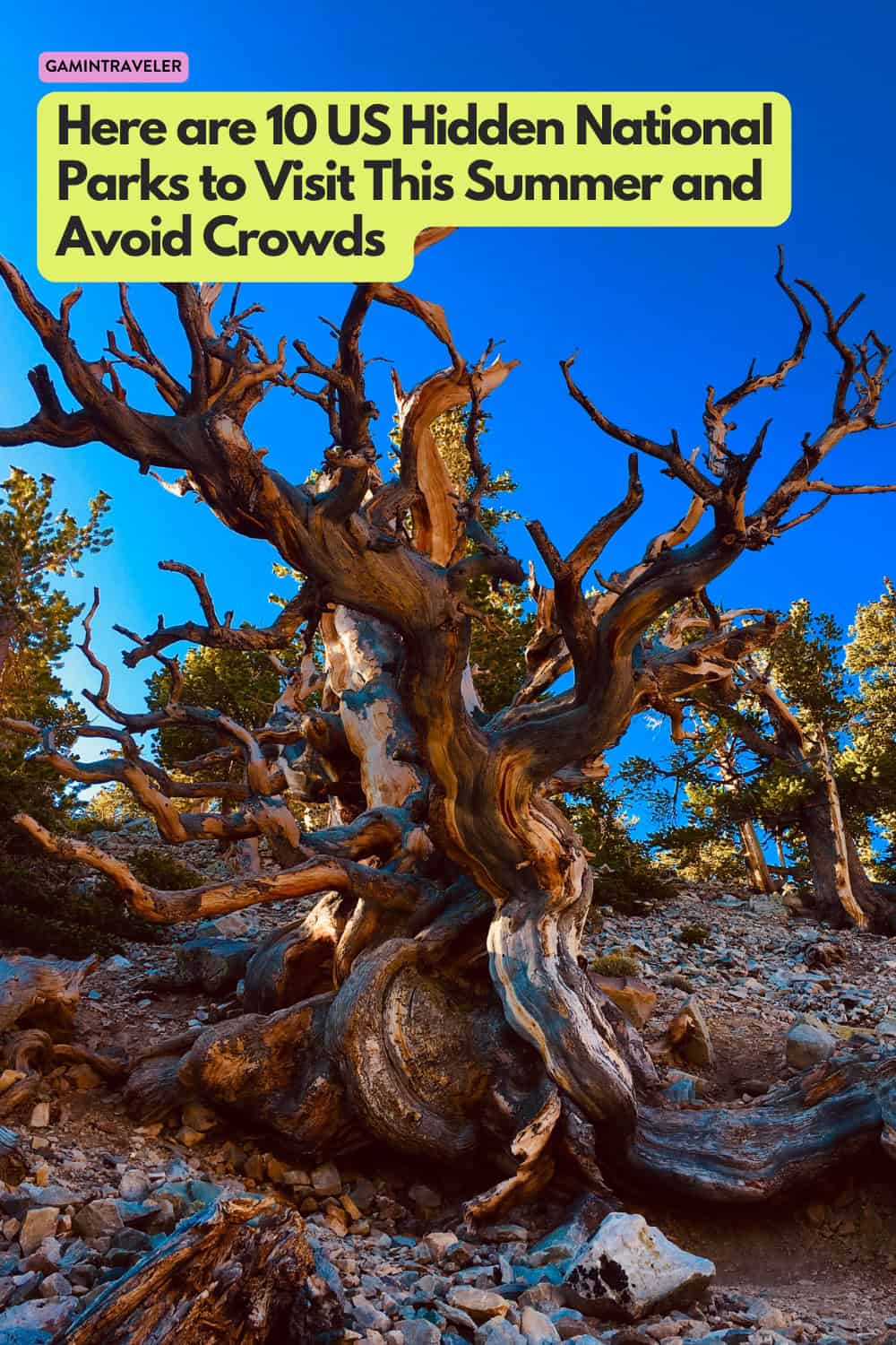 Here are 10 US Hidden National Parks to Visit This Summer and Avoid Crowds 1 Here are 10 US Hidden National Parks to Visit This Summer and Avoid Crowds