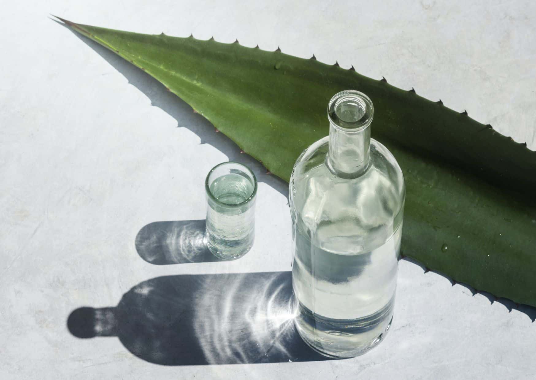 Tequila Margaritas Taste Boring After You Try This Mezcal Version 2 How to Make a Mezcal Margarita (Recipe Guide) Tips And Calories
