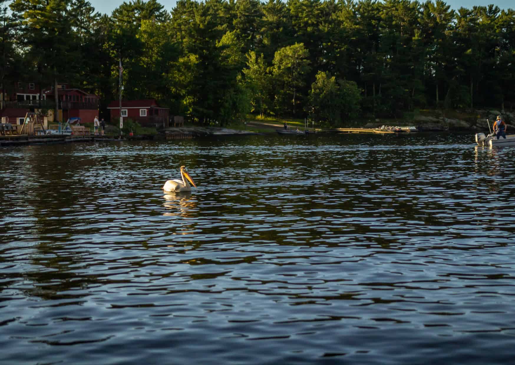 Here are 10 US Hidden National Parks to Visit This Summer and Avoid Crowds 10 Voyageurs National Park Minnesota Top 10 US Hidden National Parks to Visit This Summer