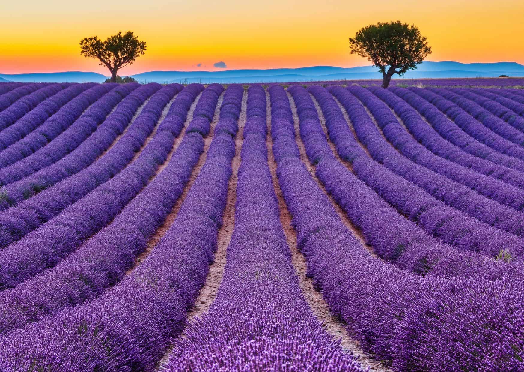 Spain vs. France vs. Italy: Which Mediterranean Country Is Truly Worth Your Vacation? 3 North France Vs South France Which Is Better For Travel And Food, 8 Reasons For Americans to Move to France, 10 Top Money-Saving Tips For France, 15 Common Mistakes to Avoid in France and How to Avoid Them