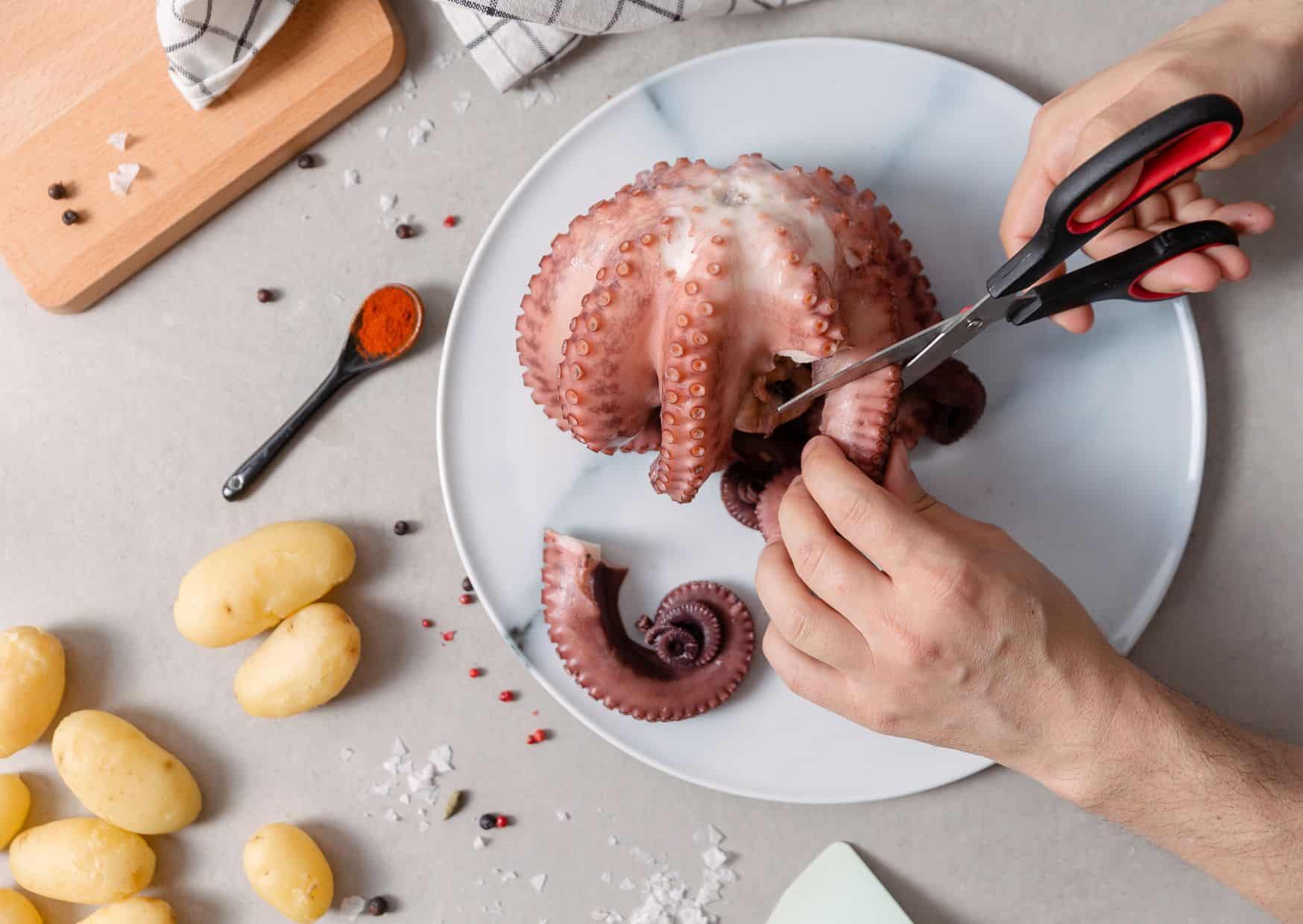 Forget Fried Calamari, This Galician Octopus Is on Another Level: How Galicians Make Octopus Tender, Smoky, and Full of Flavor 3 How To Make Pulpo a la Gallega Galician-Style Octopus (Recipe Guide)