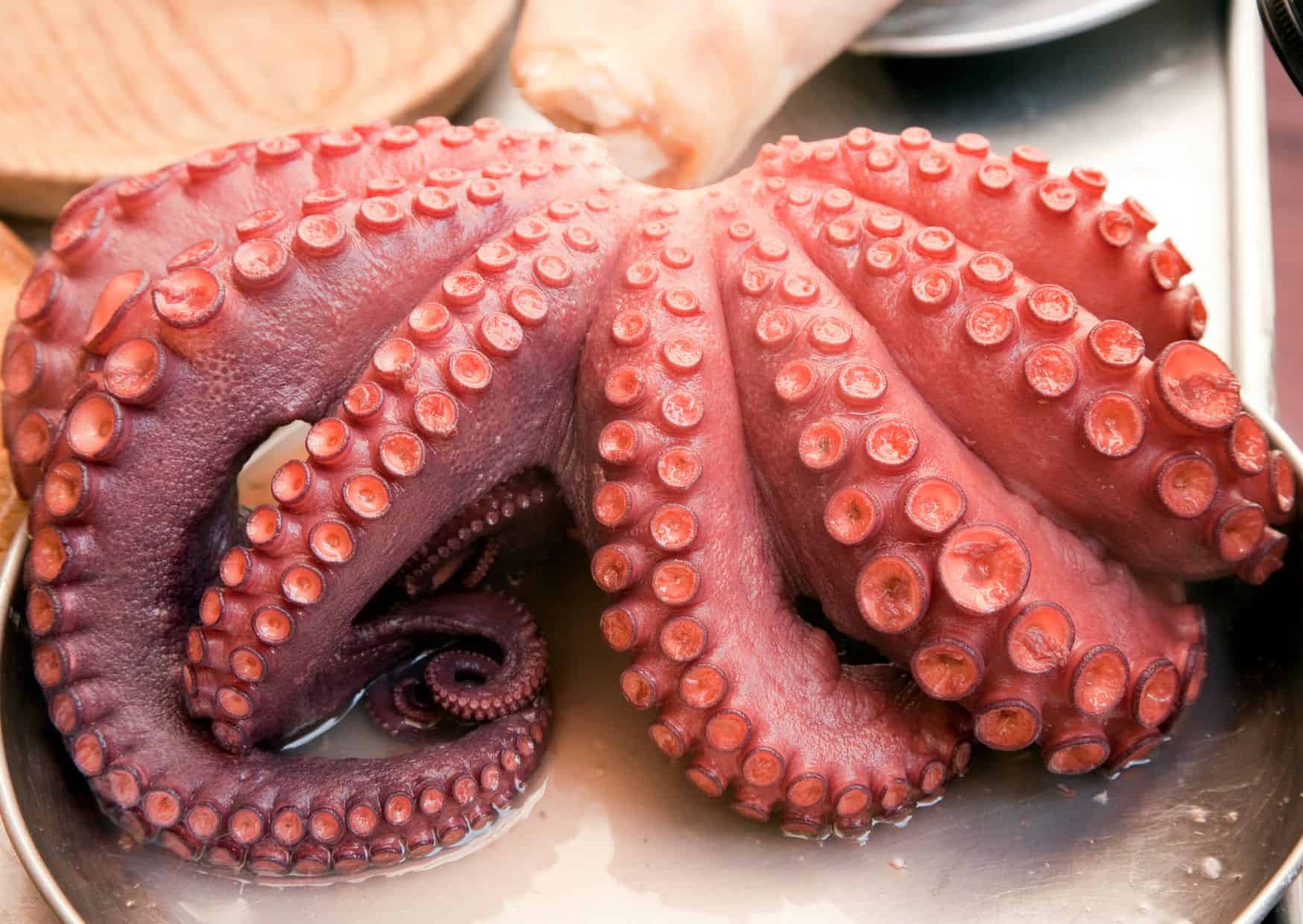 Forget Fried Calamari, This Galician Octopus Is on Another Level: How Galicians Make Octopus Tender, Smoky, and Full of Flavor 2 How To Make Pulpo a la Gallega Galician-Style Octopus (Recipe Guide)