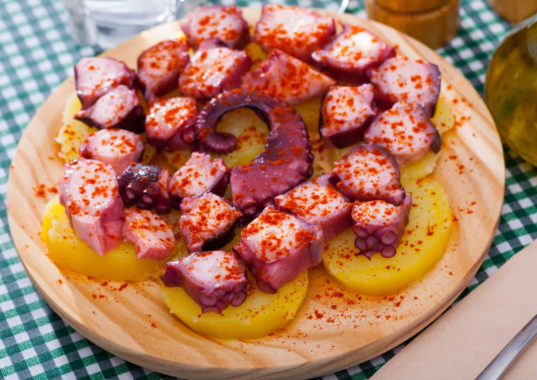 North vs South Spain: The Ultimate Showdown for Travel and Food Lovers 8 North Spain Vs South Spain: Which One Is Better For Travel And Food, Is Paella the Best Dish to Try in Spain?, 5 Delicious Food In Spain That Aren't So Popular As Paella