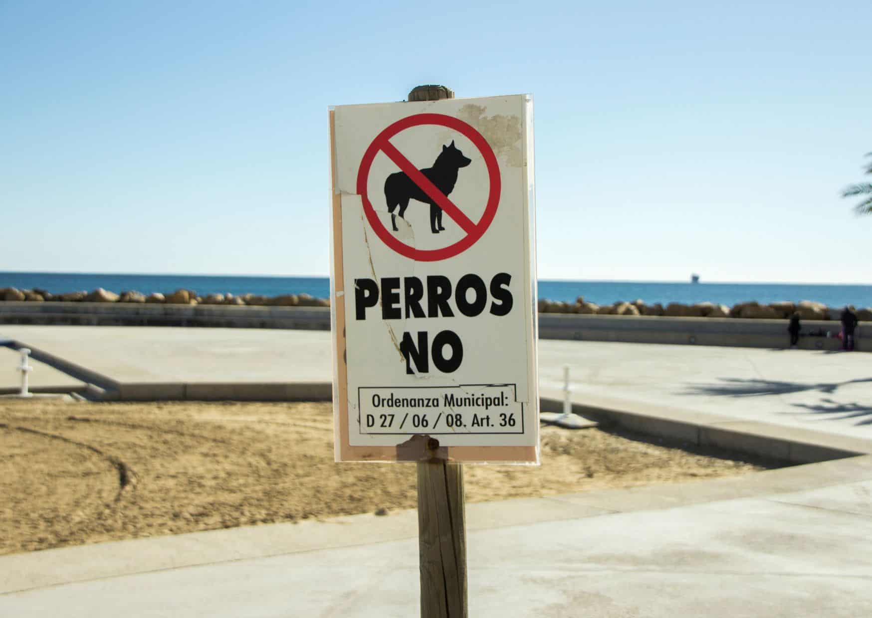 10 Mistakes Tourists Always Make on Spanish Beaches (And How to Avoid Them Like a Local) 3 10 Common Mistakes to Avoid on Spanish Beaches And How to Avoid Them