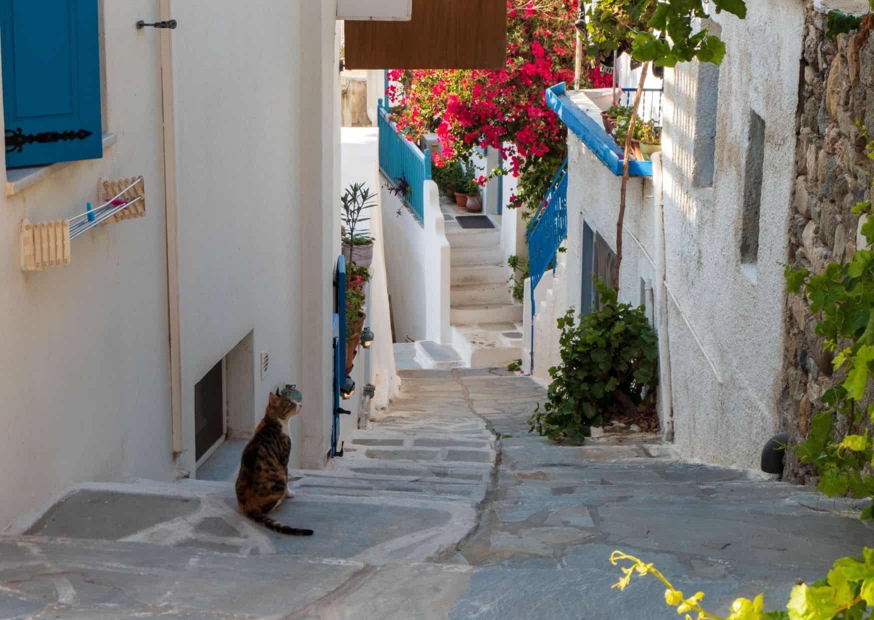 How To Spend 3 Days in the Greek Islands Without Breaking the Bank 1 Naxos, How To Spend 3 Days in the Greek Islands Without Breaking the Bank