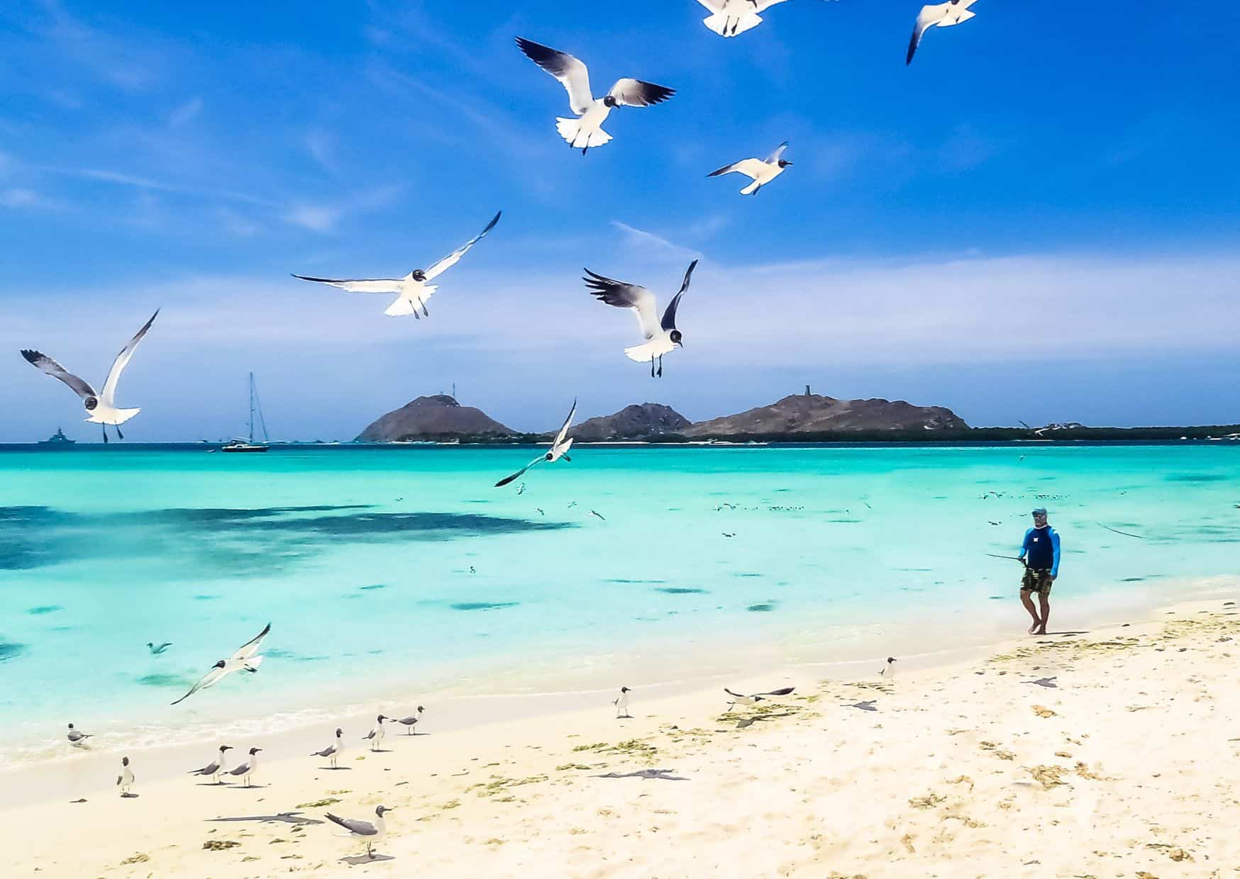 7 Caribbean Tourist Traps That Locals Warn You About (And Where to Go Instead) 5 7 Tourist Traps to Avoid in the Caribbean And How To Avoid Them