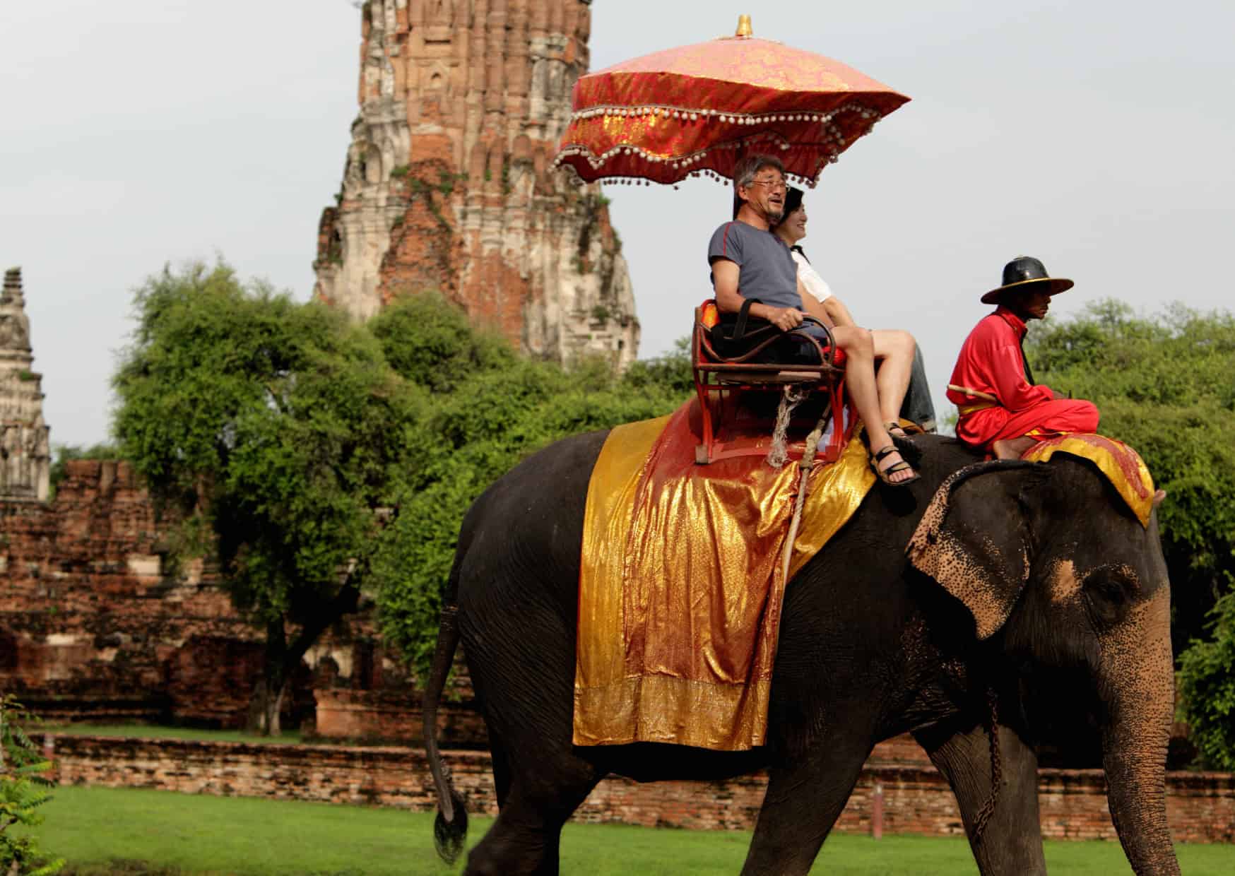 The Dark Side of Touristic Wildlife Encounters 3 The Dark Side of Touristic Wildlife Encounters