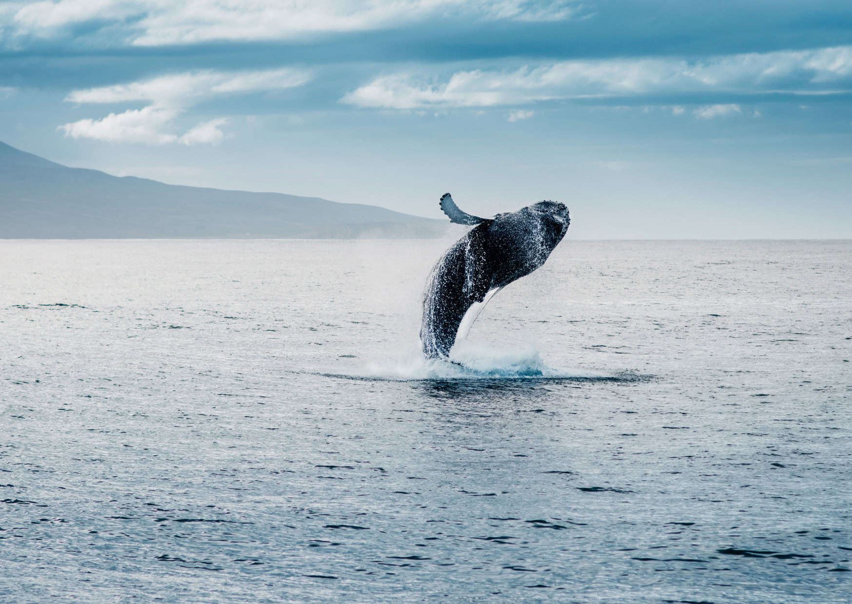 Don’t Do This in Iceland: 20 Tourist Mistakes That Instantly Mark You as Rude 9 Don’t Do This in Iceland: 20 Things Not to Do in Iceland