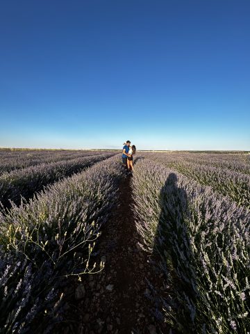 This Year's Meditteranean Summer Adventures In Our Car