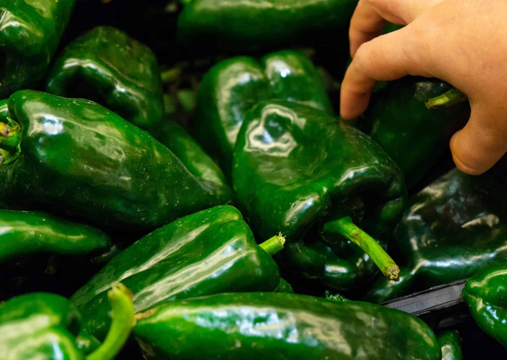 Forget Regular Stuffed Peppers, Chiles Rellenos Are on Another Level: How to Make Traditional Chiles Rellenos at Home 1 Mole Poblano 5