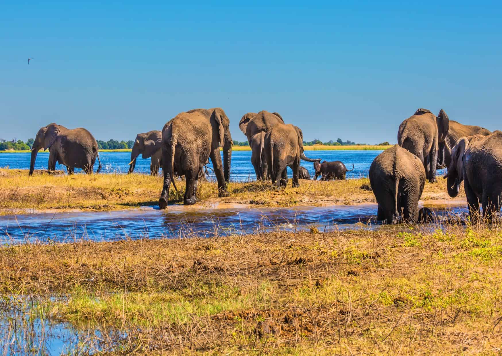 12 Once-in-a-Lifetime Adventures to Plan in Your 30s 1 12 Trips You Should Take After Your 30s