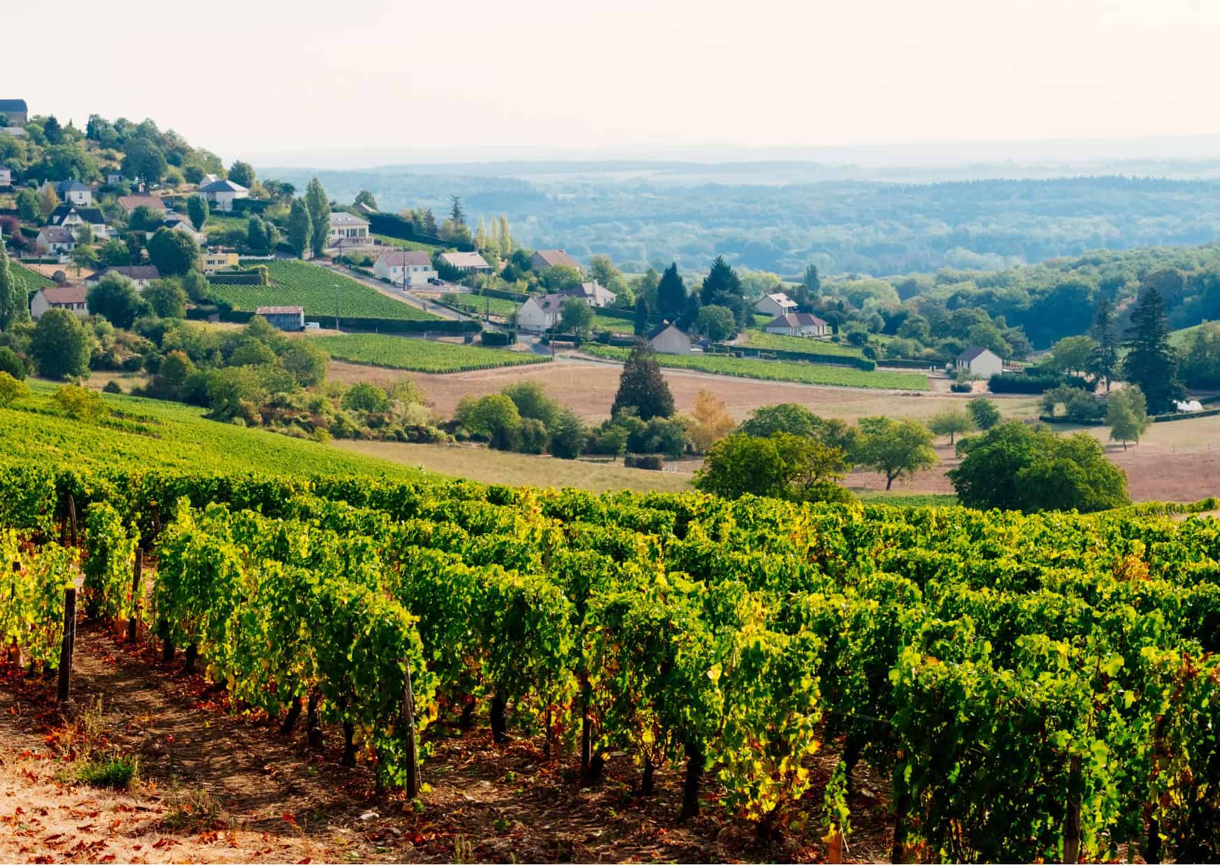 The Ultimate 2025 Travel Bucket List: Must-Visit Destinations Before the Year Ends 2 September to December Travel Destinations Vineyards at Sancerre Loire Valley France