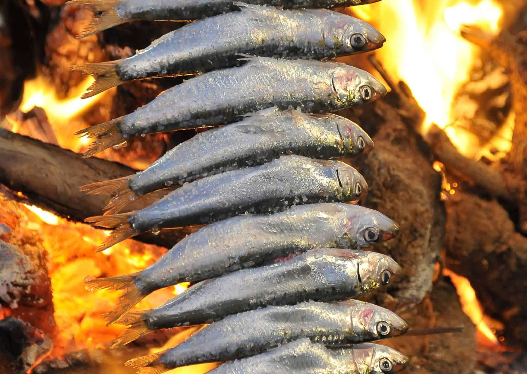 Espetos: The Spanish Sardine Skewers That Tourists Always Get Wrong (Here’s How to Make Them Right) 3 How To Make Homemade Espetos Sardine Skewers (Recipe Guide)