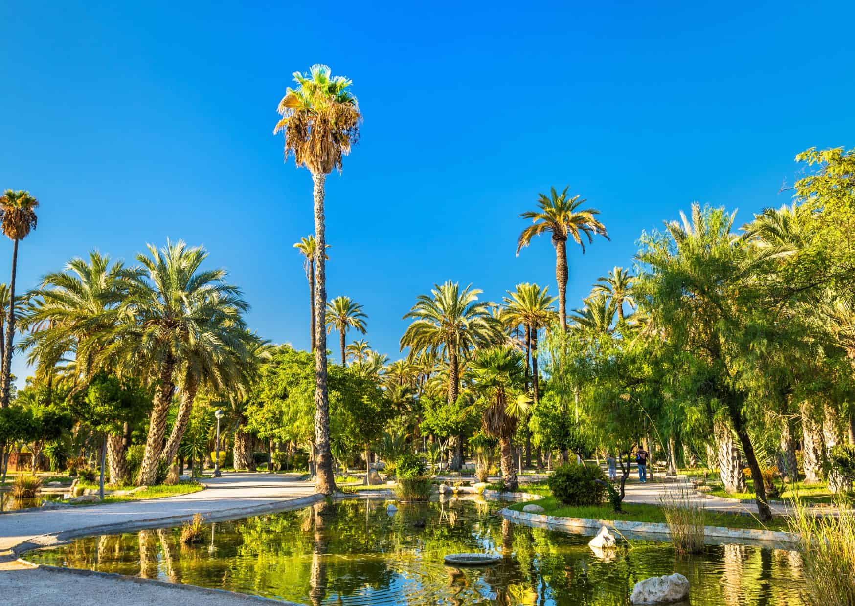 Spain 3