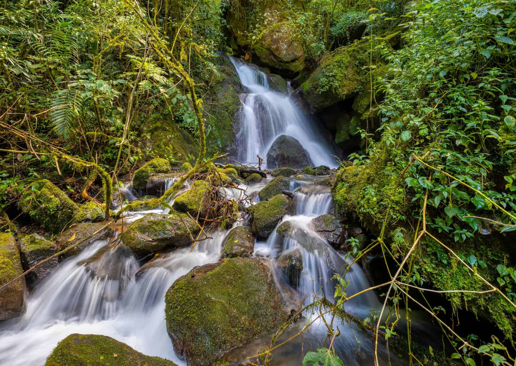 San Gerardo de Dota, 15 Unspoken Rules of Costa Rican Life That Tourists Never Understand