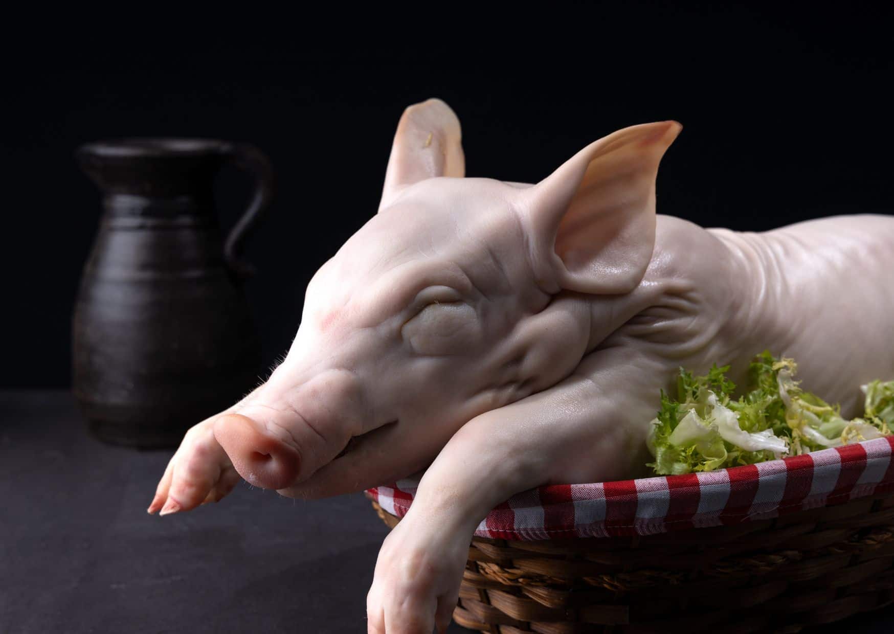 Spain’s Most Famous Roast Pig Is Simpler Than Most American BBQ: How to Make Spanish Roast Suckling Pig With Crispy Skin 3 How To Make Spanish Cochinilo (Recipe Guide)