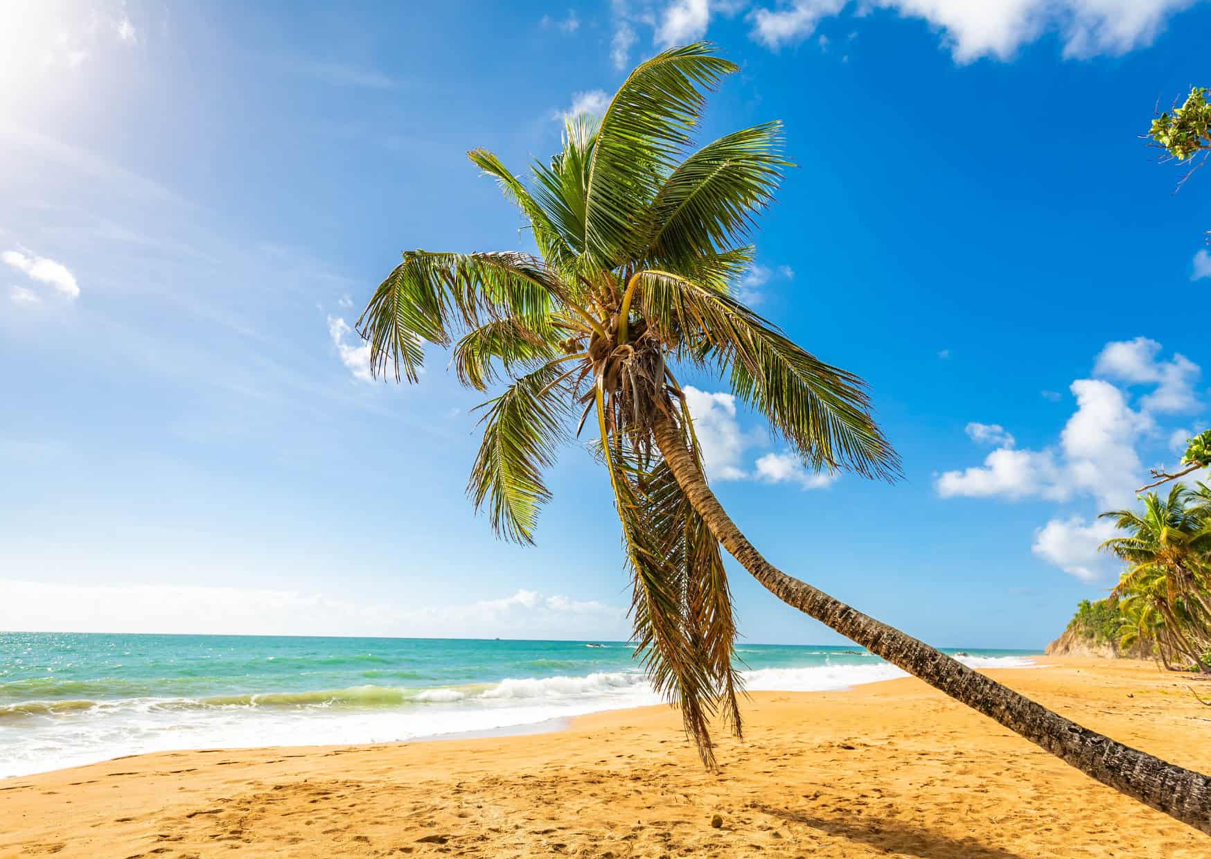 10 Best Caribbean Beaches Beyond the Tourist Traps to Visit 6 Flamenco Beach Puerto Rico Best Carribean Beaches Beyond the Tourist Traps