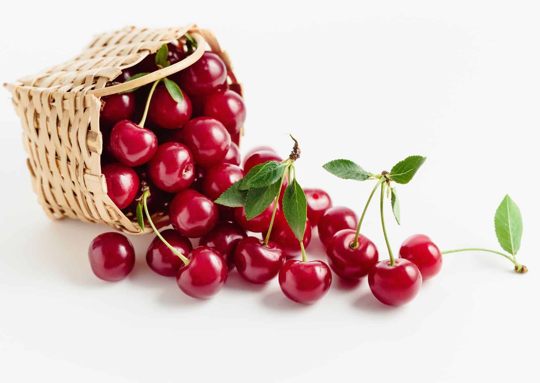 Portugal Has a Sour Cherry Liqueur Most Americans Have Never Heard Of: How To Make Portuguese Ginjinha With Cherries, Sugar, And A Little Patience 2 How to Make Ginjinha Portuguese Sour Cherry Liqueur (Recipe Guide)