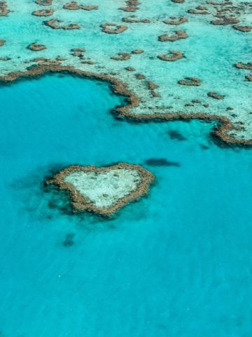 15 Paradise Diving Destinations Around the World, 15 Most Popular Nature Destinations: A Nature Lover’s Paradise Around the World, Great Barrier Reef, Australia, 20 Top Bucket List Experiences For Your Next Year