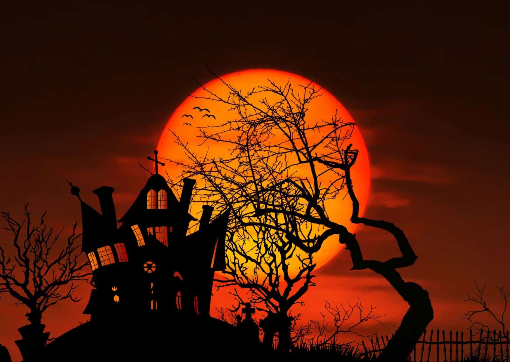 Most Popular Cities In The United States To Visit During Halloween 4 Halloween 7