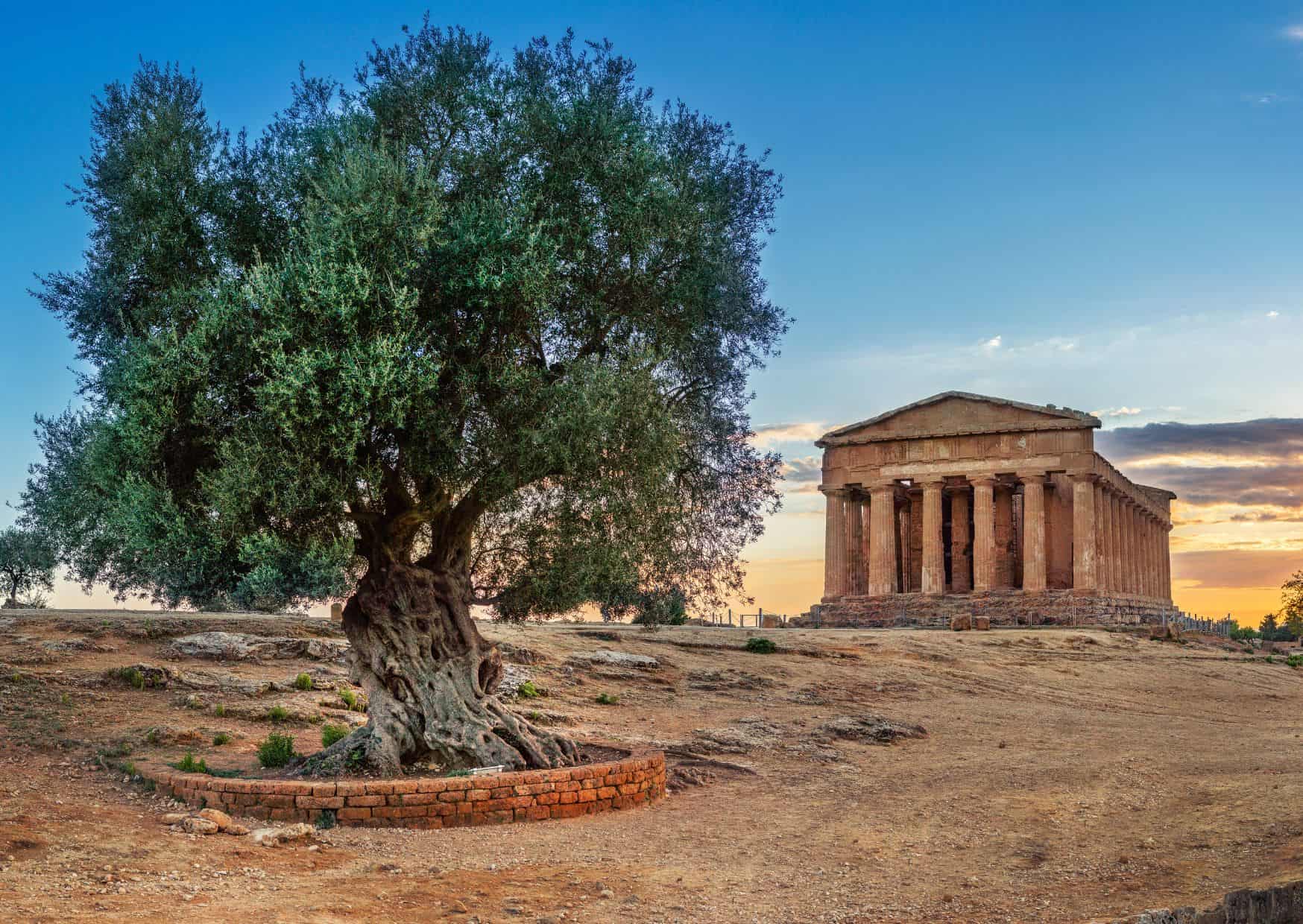 14 Common Mistakes to Avoid in Sicily and How to Avoid Them 8 Temples in Agrigento,