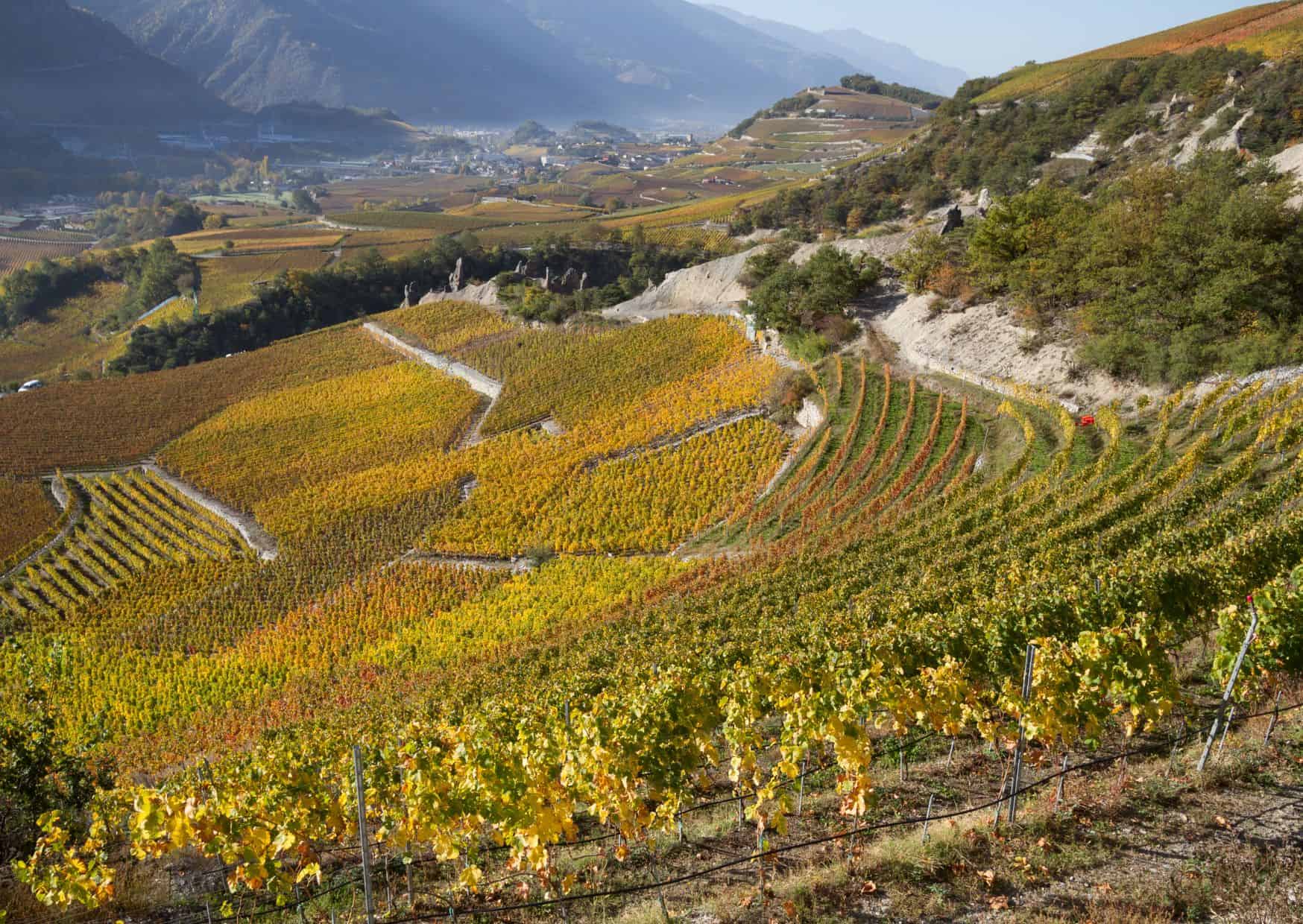 5 Stunning Swiss Destinations Tourists Haven’t Discovered Yet 5 Switzerland 19