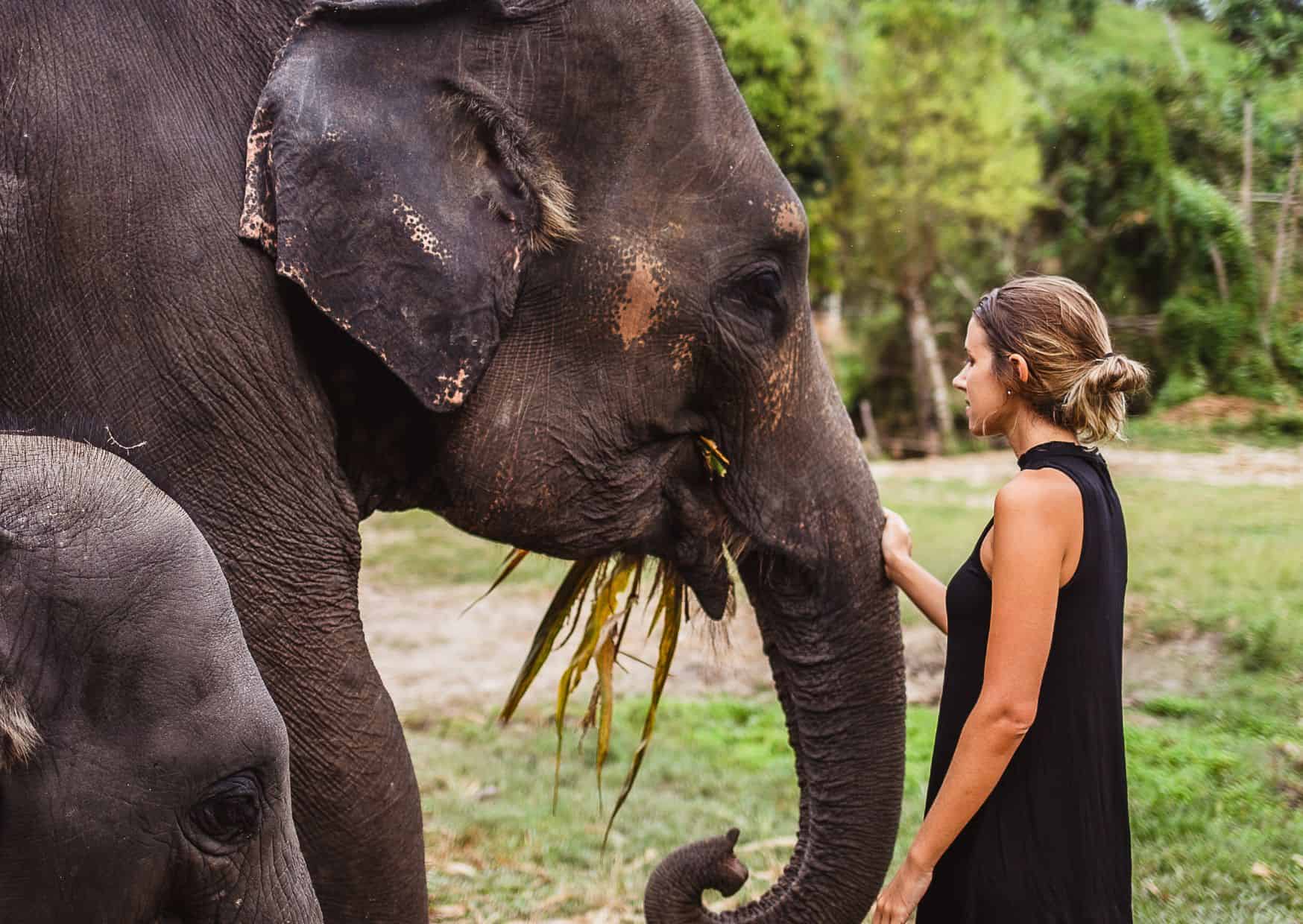 Why Not to Visit an Elephant Sanctuary And Reasons to Visit One On Your Travels 4 Why Not to Visit an Elephant Sanctuary And Reasons to Visit One On Your Travels