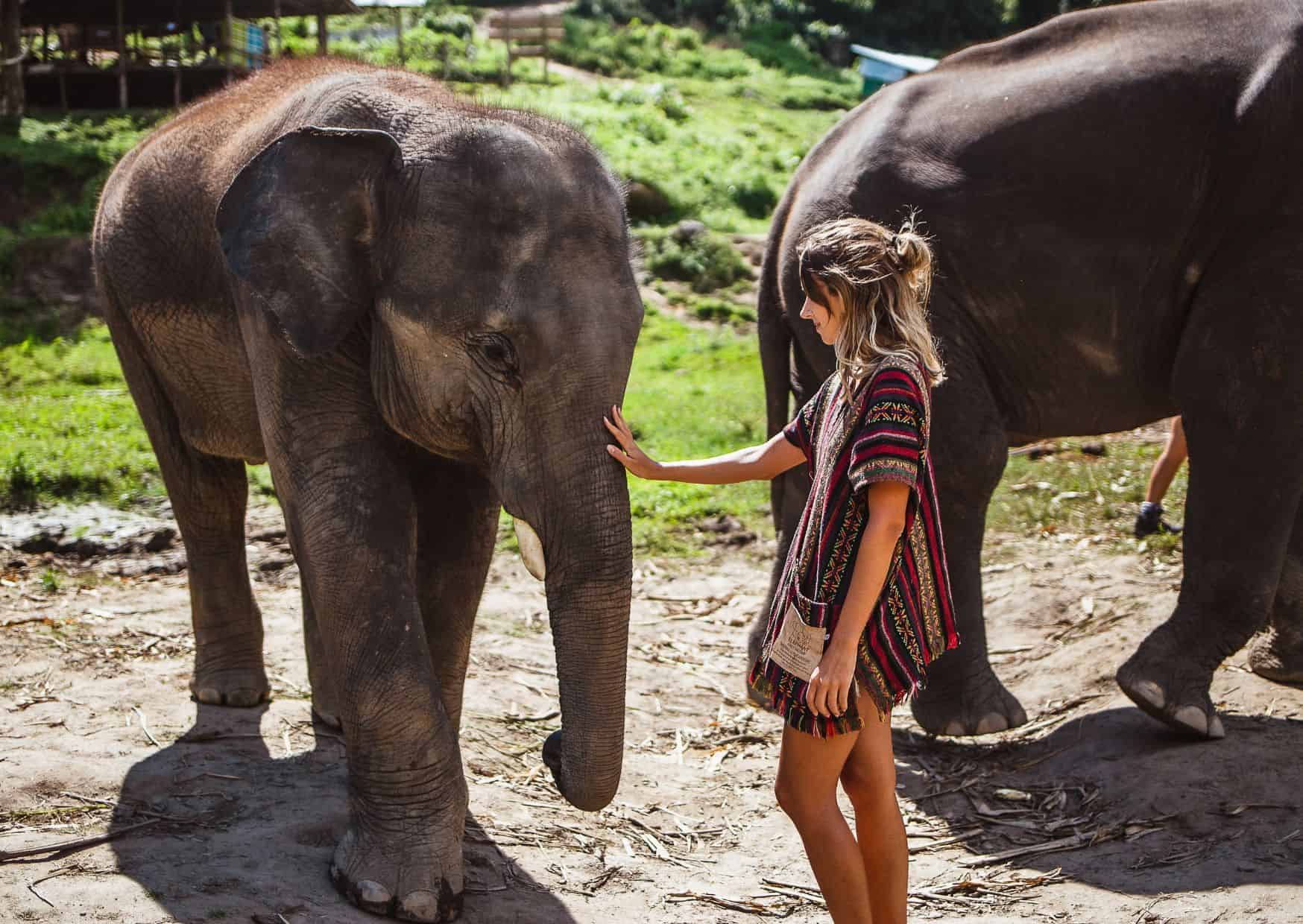 How to Make Your Next Vacation Eco-Friendly (Without Sacrificing Fun) 6 Why Not to Visit an Elephant Sanctuary And Reasons to Visit One On Your Travels