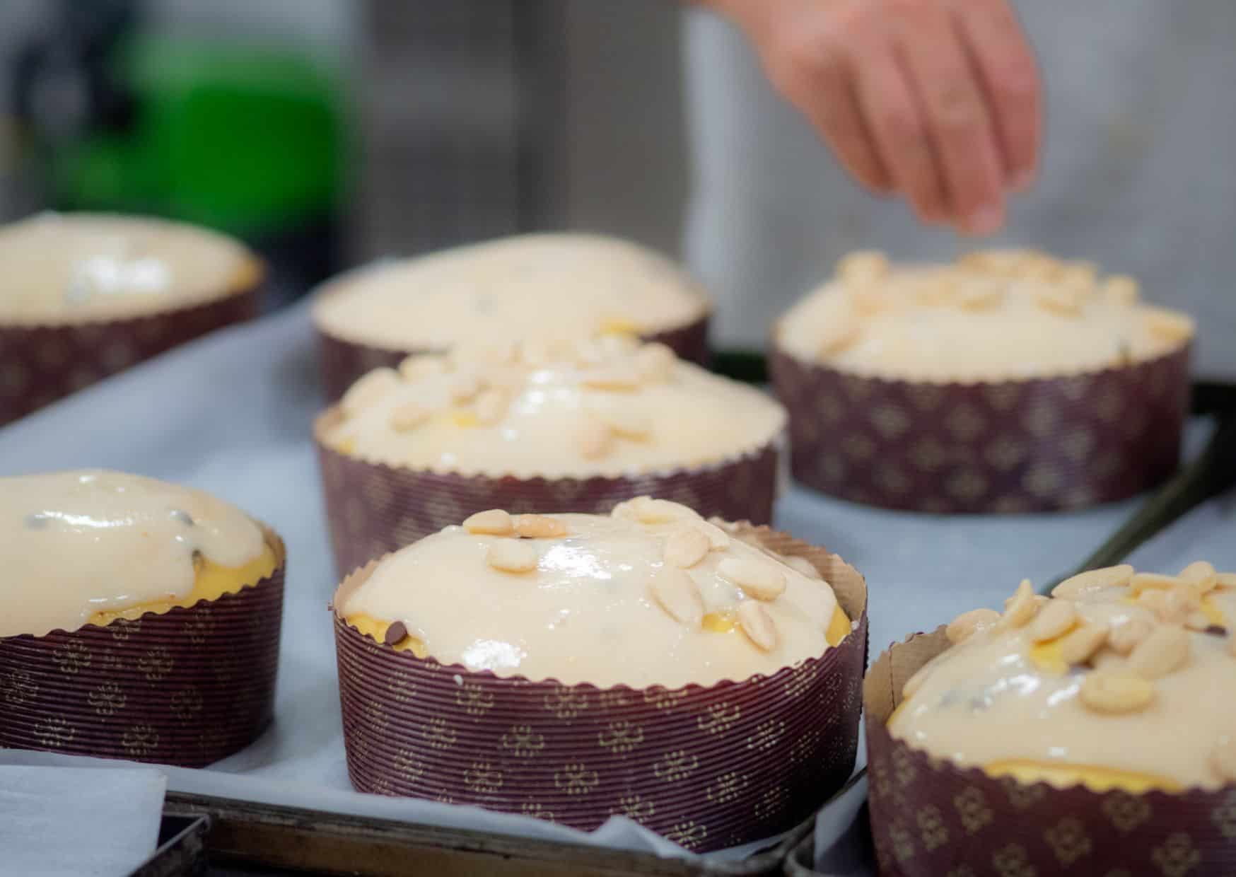 Store-Bought Panettone Ruined Its Reputation And Homemade Is Completely Different: How to Make Italian Panetonne 3 How To Make Italian Pannetone (Recipe Guide)