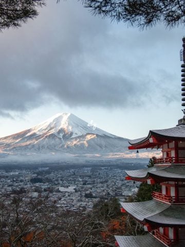 Traveling To Japan? Check Out Rules About Tipping in Japan: Travel Guide