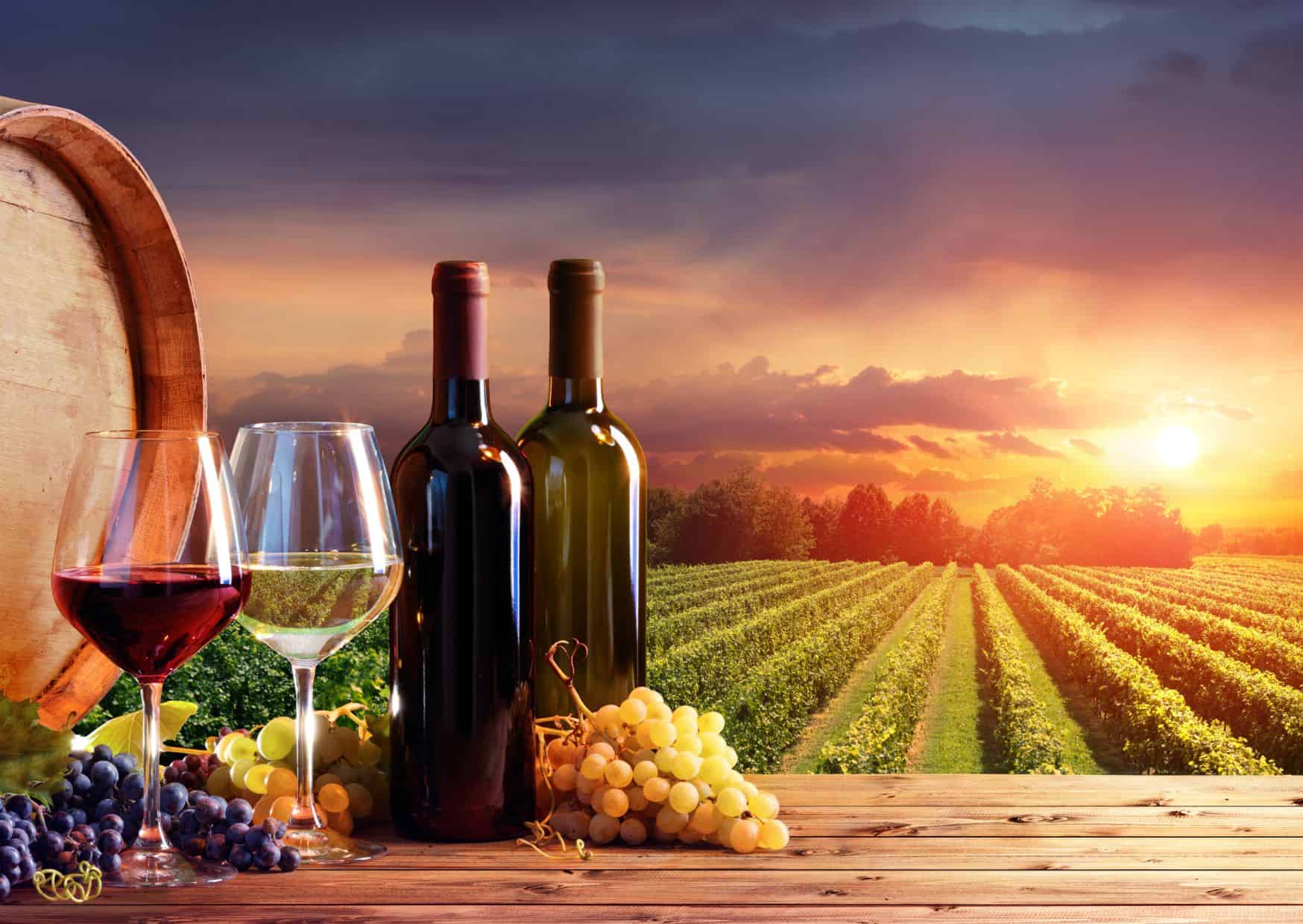 Things to Know Before Visiting Tuscany: Best Tuscany Itinerary & Travel Guide 4 Things to Know Before Visiting Tuscany: Best Tuscany Itinerary & Travel Guide