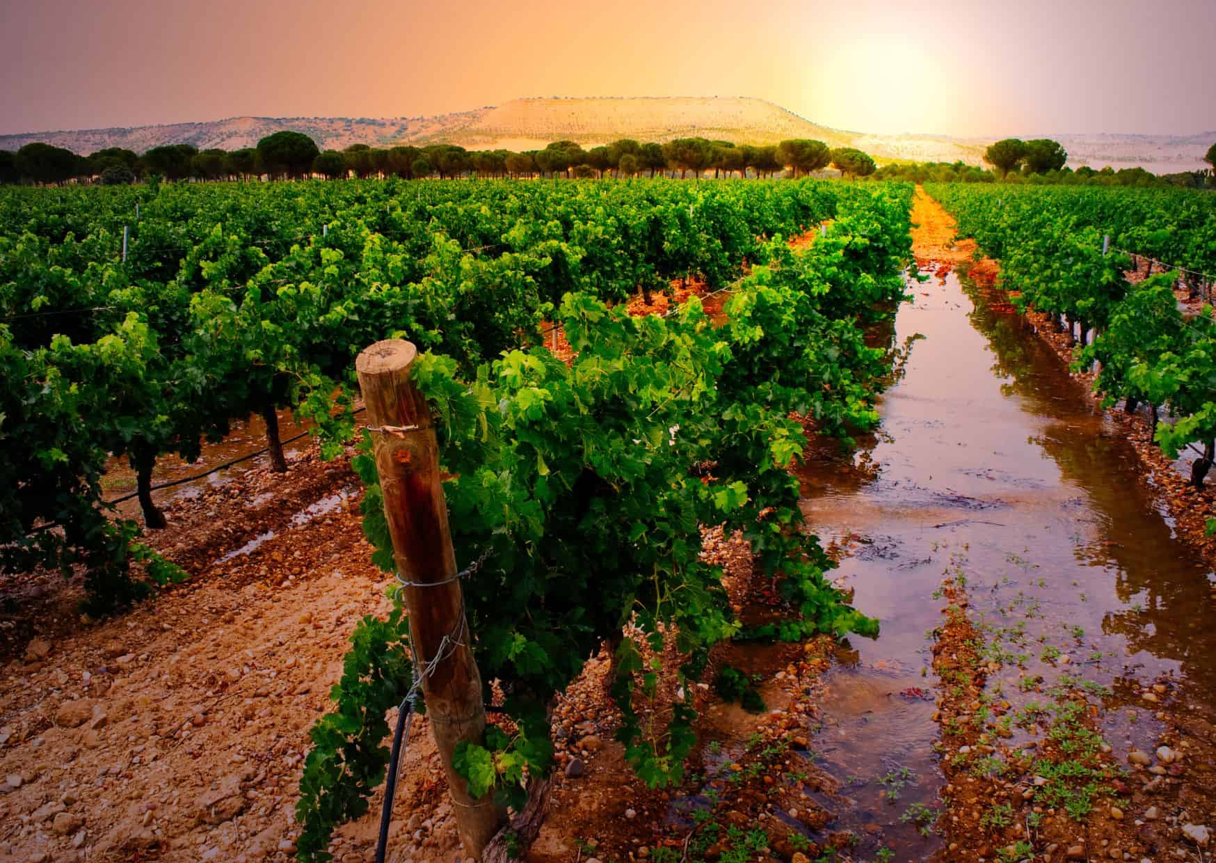 13 Most Unique Destinations in Spain That Most Travelers Skip 11 Monfrague 1
