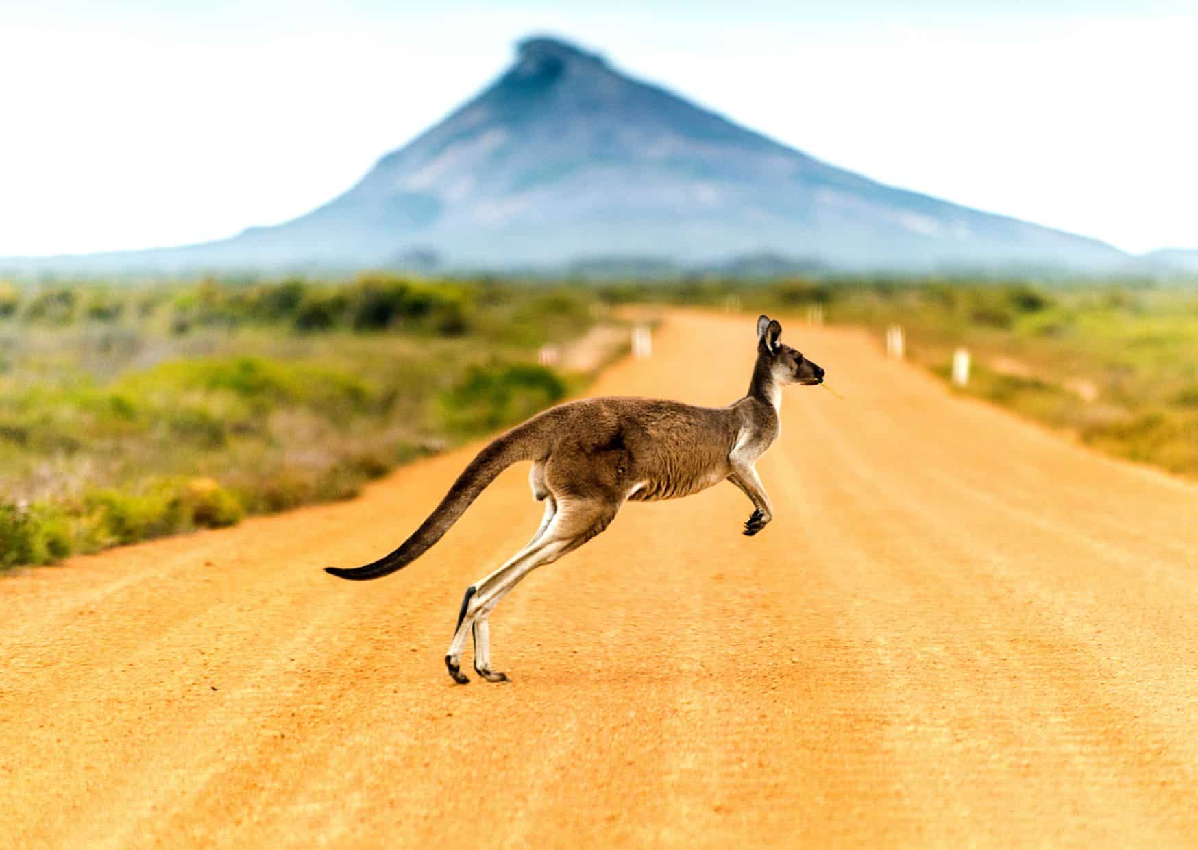 What Tourists Get Wrong in Australia: 20 Unspoken Local Rules 10 Australia 4