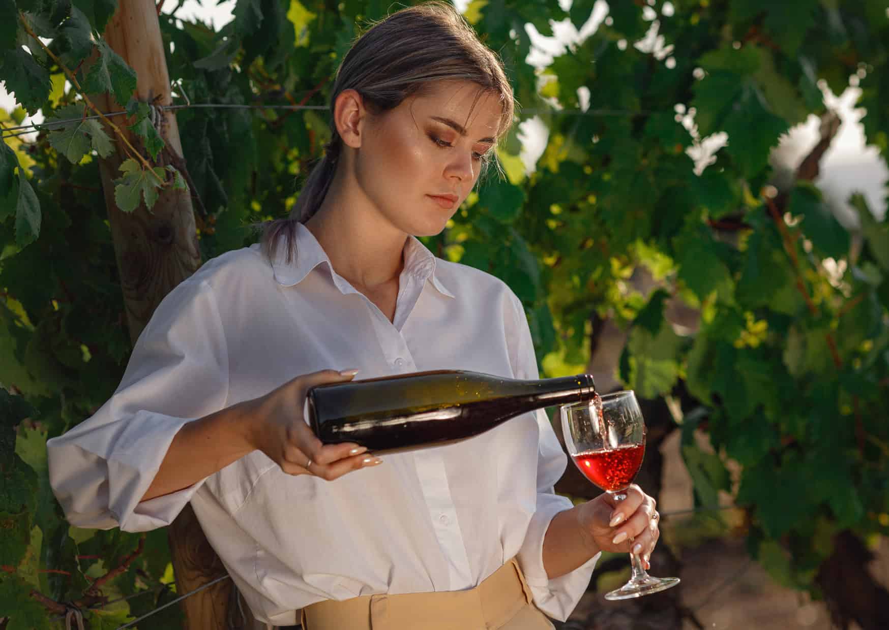 Why Tourists Completely Misunderstand How Tapas Work In Spain 2 The Hidden Side of Spanish Tapas That Tourists Always Get Wrong 3